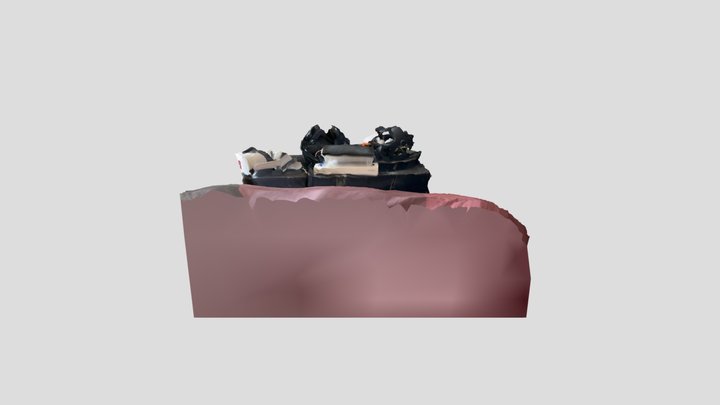 Scan 2022-04-04T18:33:14.993Z 3D Model
