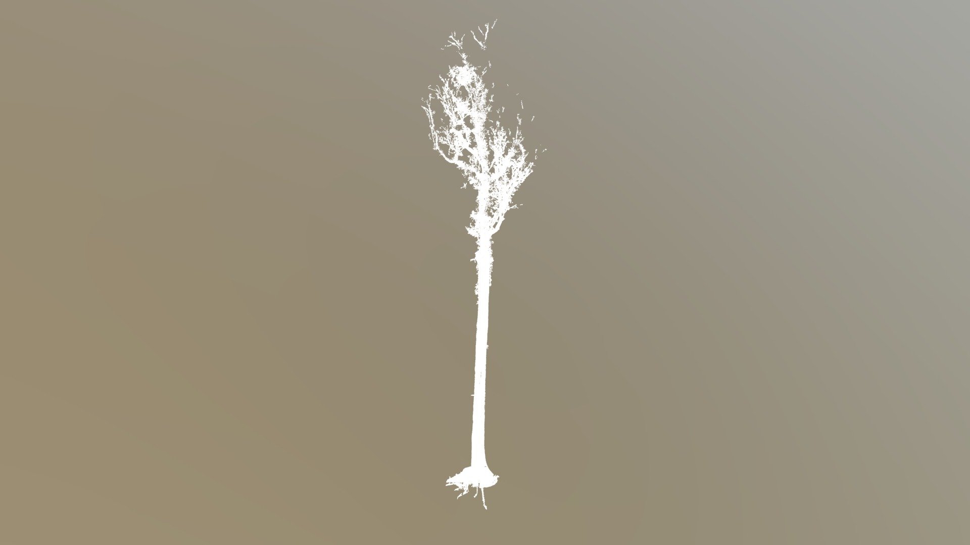 AEP33-tree_100.wood.ply