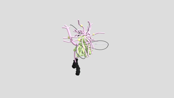 sensorama ravers 3D Model