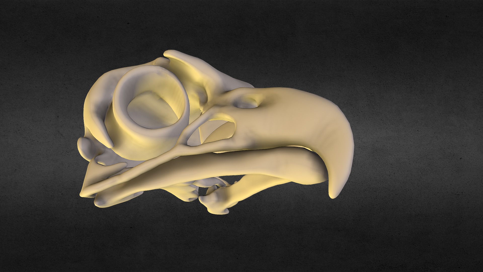3D model AC Origins 3D printable Eagle Skull pendant - This is a 3D model of the AC Origins 3D printable Eagle Skull pendant. The 3D model is about a white object with a black background.