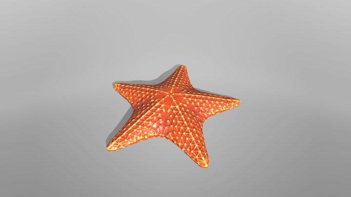 starfish-3d-models-sketchfab