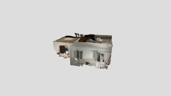 Untitled Scan 3D Model