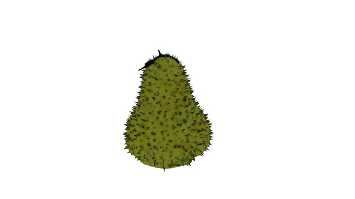 THE PRICKLY PEAR 3D Model