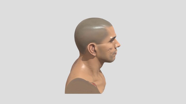 Alex Pereira head 3D Model