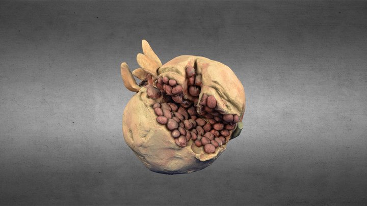 Pomegranate 3D Model