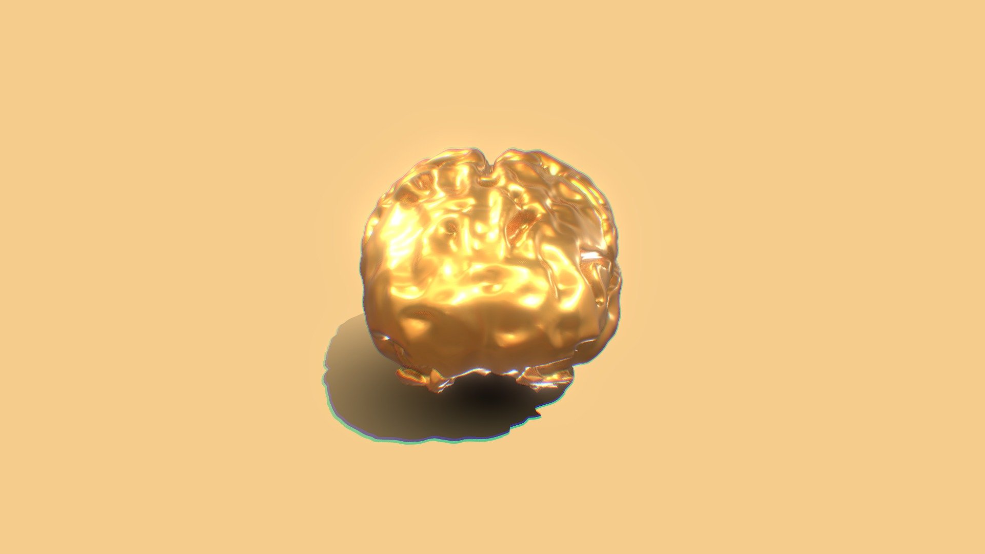 Segmentation Brain