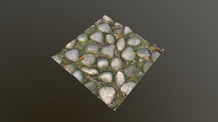 Rocky Forest Floor Texture 3D Model