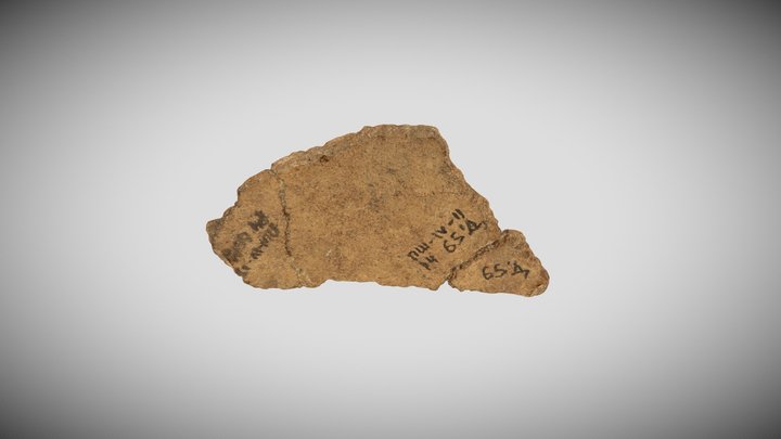 Осколок вазы 3D Model