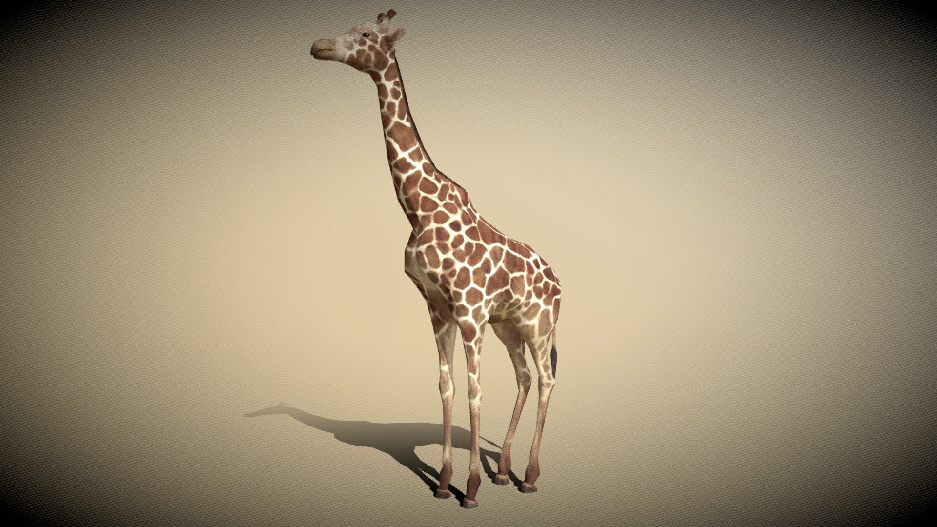 3DRT - Safari animals - Giraffe - Buy Royalty Free 3D model by   (@) [43d15c3]