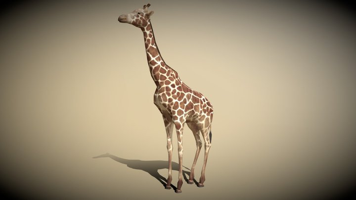 3DRT - Safari animals - Giraffe 3D Model