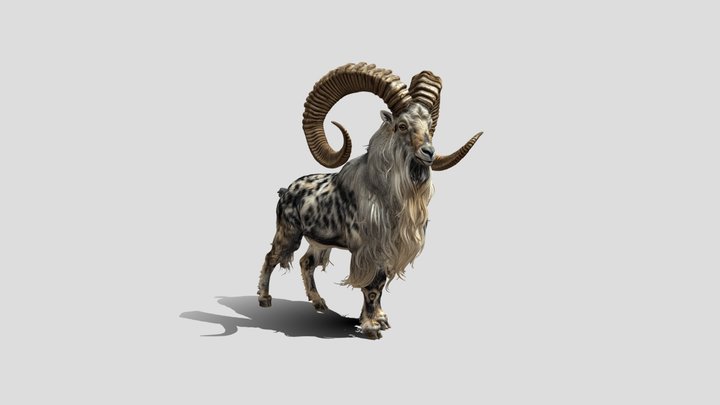 Spiral Horned Ram 3D Model Free – Modello 3D gratuito STL