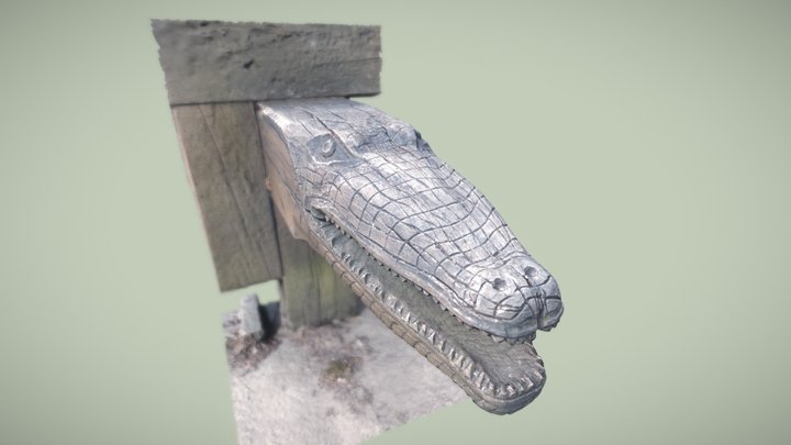 Crocodlie head Jaz Niezgoda 3D Model