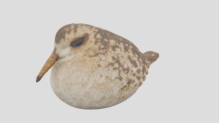 birdfigurine 3D Model