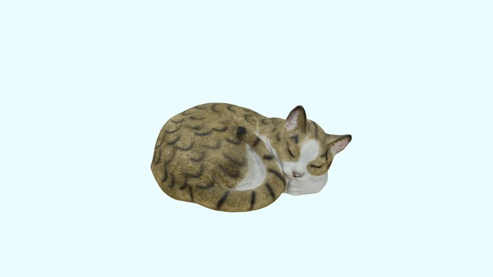 Sleeping Cat 3D Model