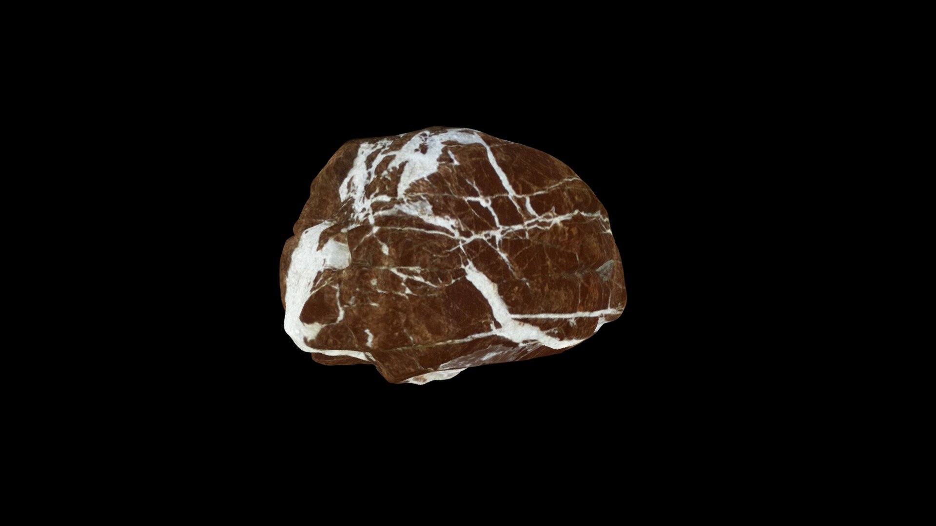 A rock for charlie