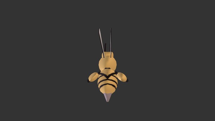 Study: Bee Animation 3D Model