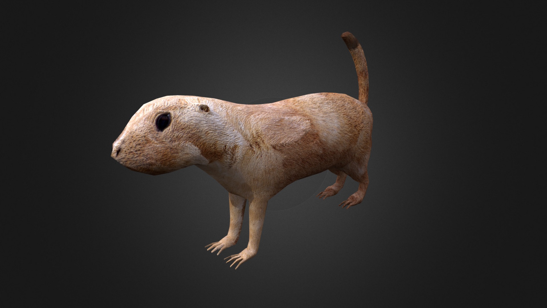 3D model Prairie dogs - This is a 3D model of the Prairie dogs. The 3D model is about a small brown animal.