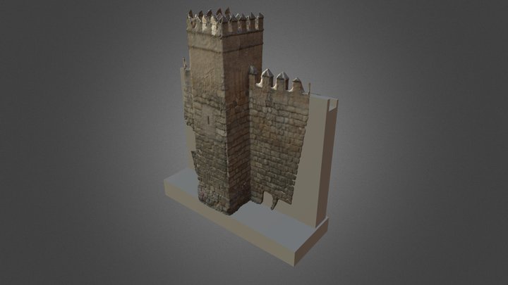 Torre Intermedia primer recinto 3D Model