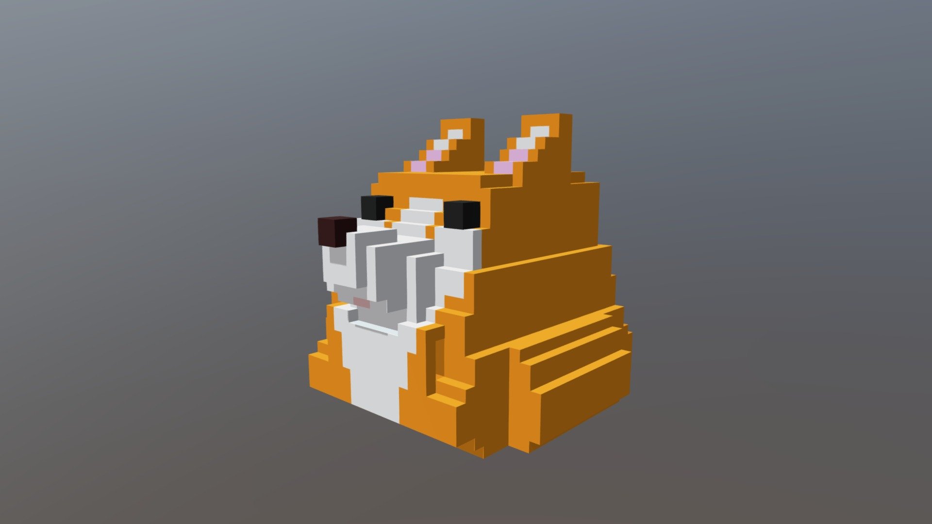 Corgo