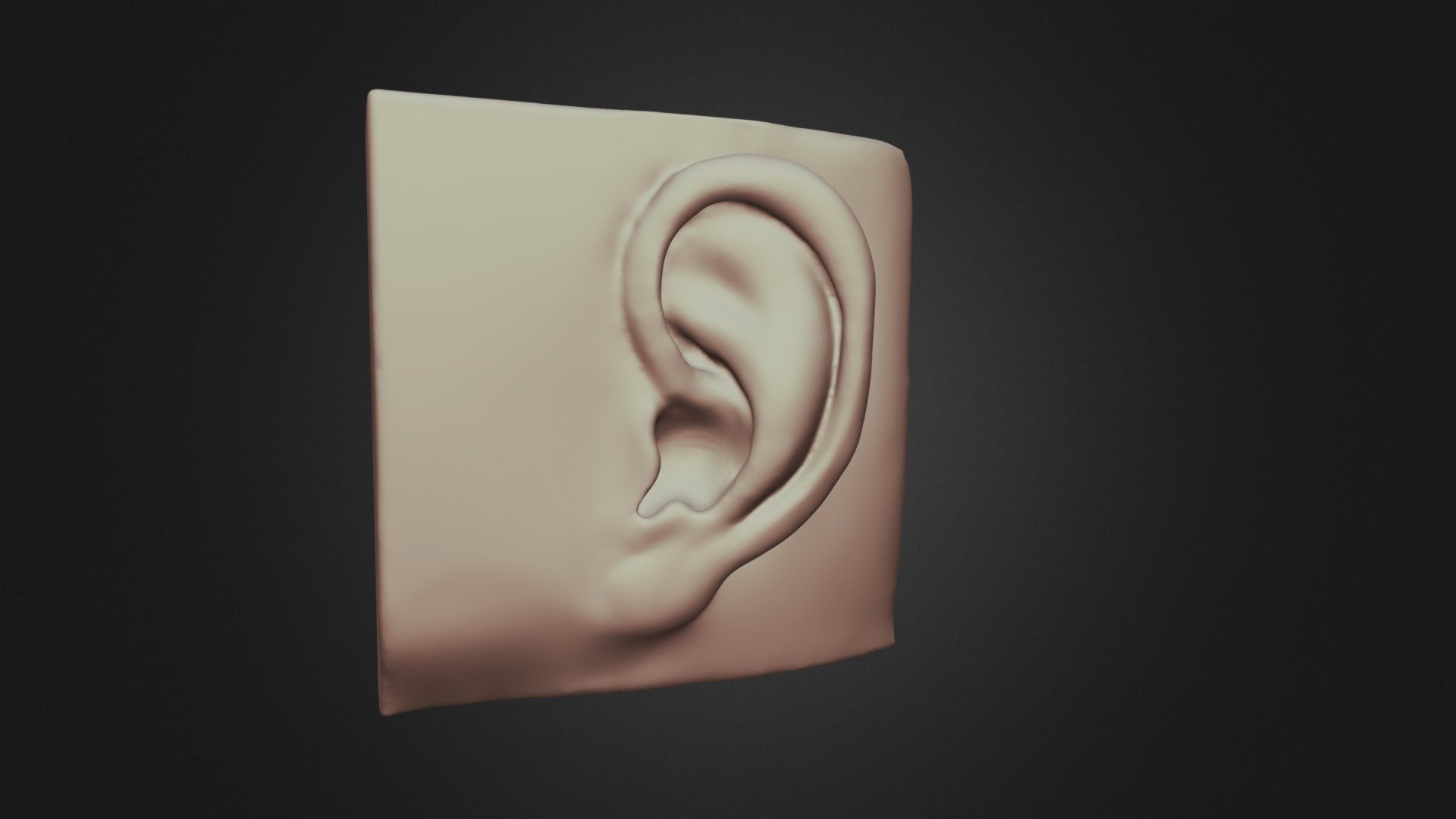 Ear - Download Free 3D model by Chin Eeyang (@chinyang1607) [43e45ae ...