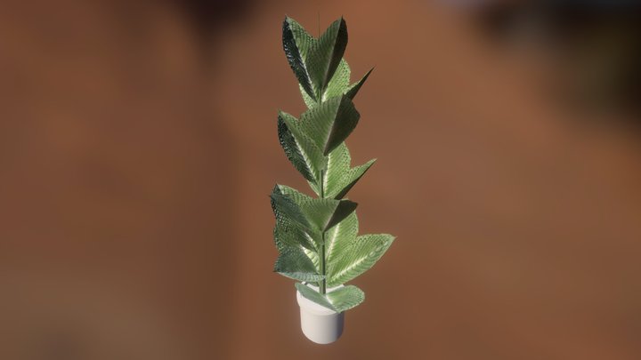 Low-poly plant