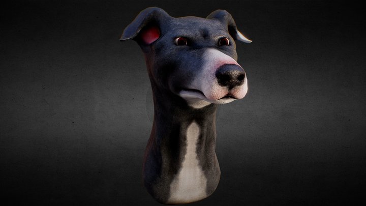 BLUE GREYHOUND - Head Portrait 3D Model