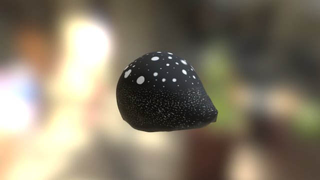 3D Shell 3D Model