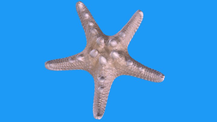 Starfish Manifold V2 3D Model