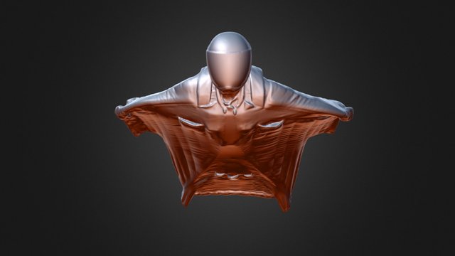 Wing Suit 3 3D Model