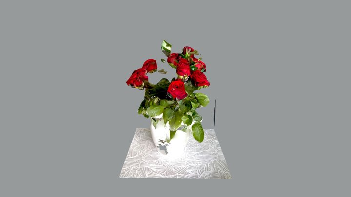 Roses 3D Model