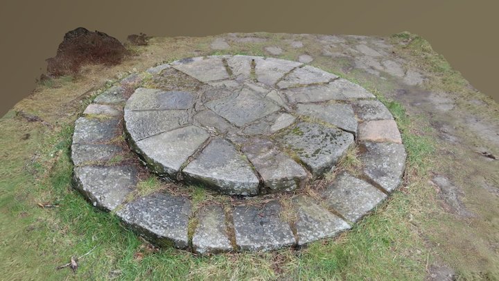 Fast scan Stone feature 3D Model