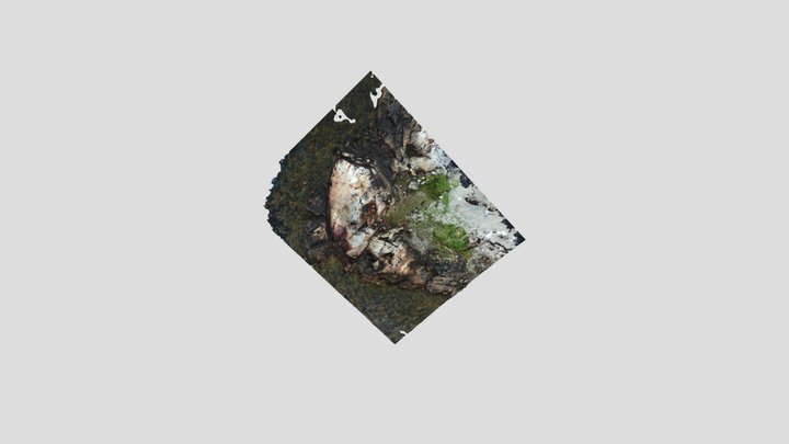 Maine coast rock 3D Model