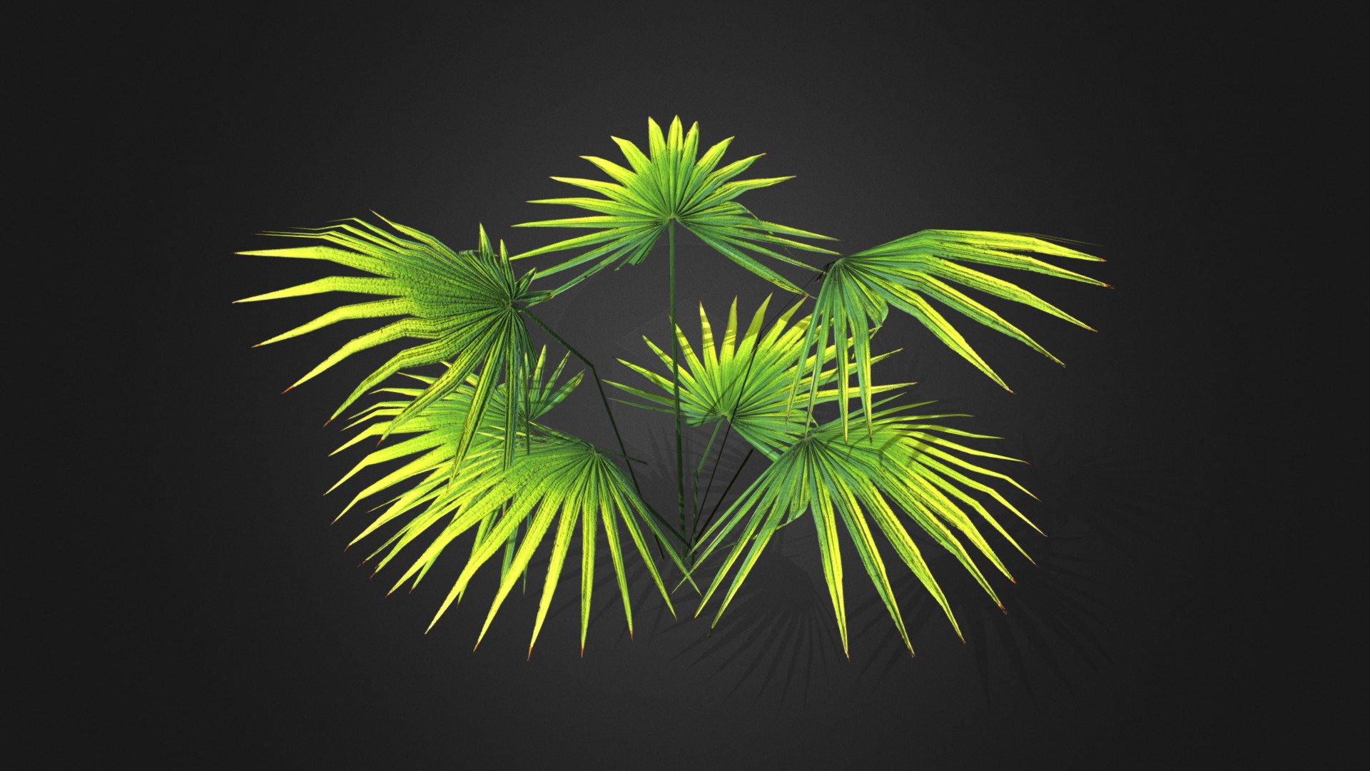 3D model Tropical plant 3 - This is a 3D model of the Tropical plant 3. The 3D model is about a group of leaves.