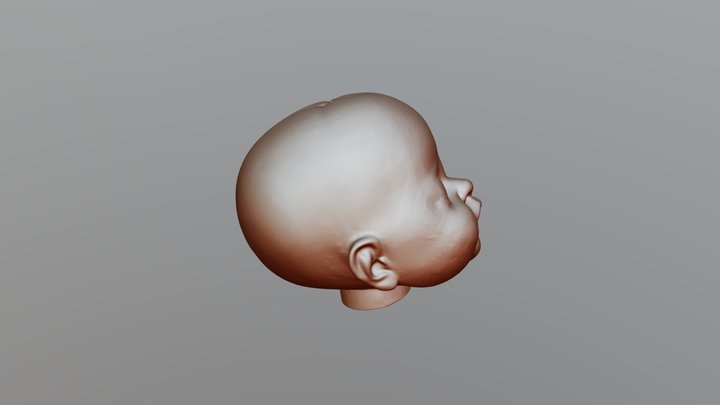 Head 3D Model