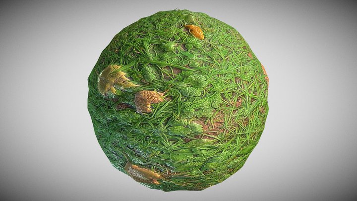 Seamless Overgrown Grasslands Path PBR Texture 3D Model