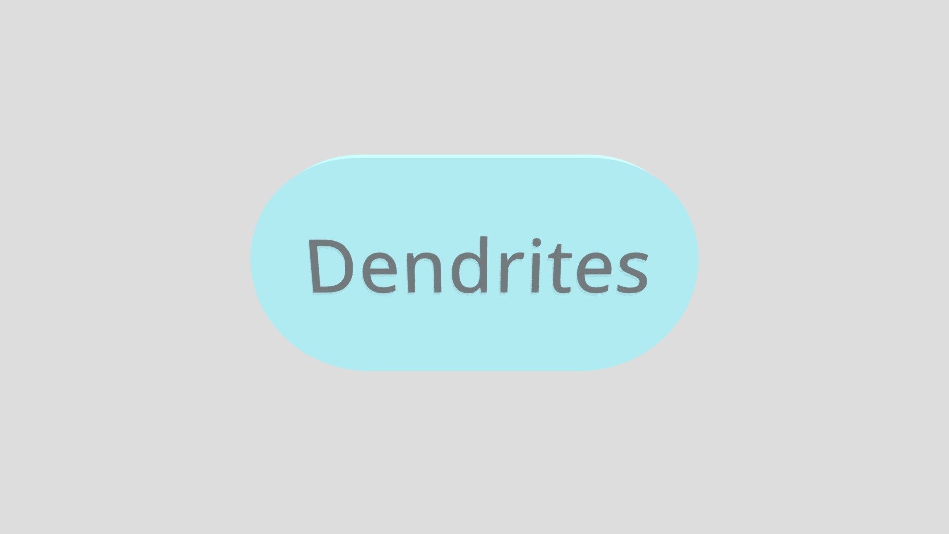 DendritesLabel123 - Download Free 3D model by amhoward [43f31c8 ...