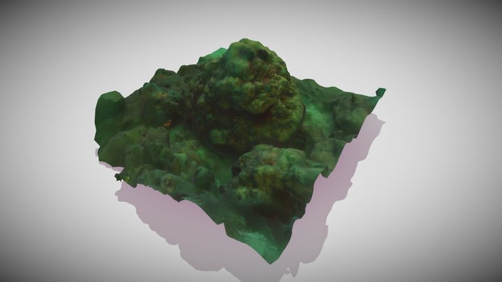 Underwater Coral 3D Model