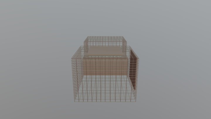 Cages_2_ Final 3D Model