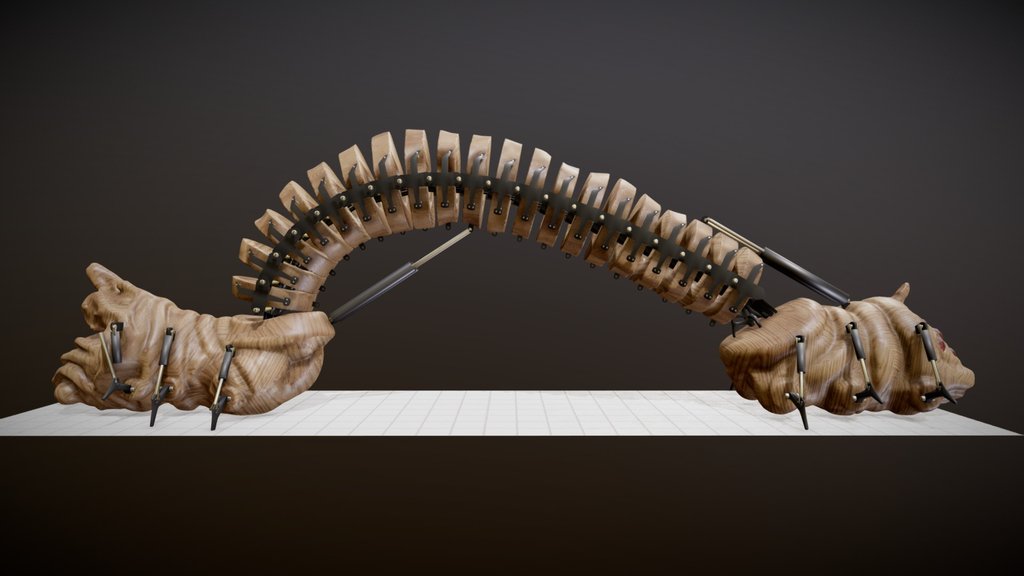 Mechanical Caterpillar