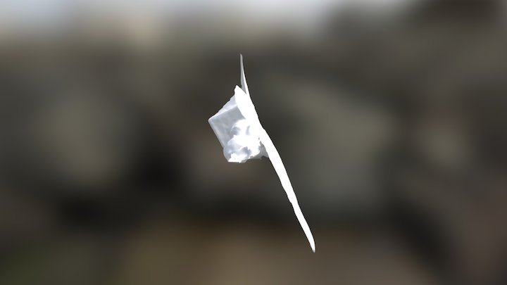 Giuseppe Peretti 3D Model