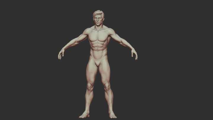 Body base_ zbrush_01 3D Model