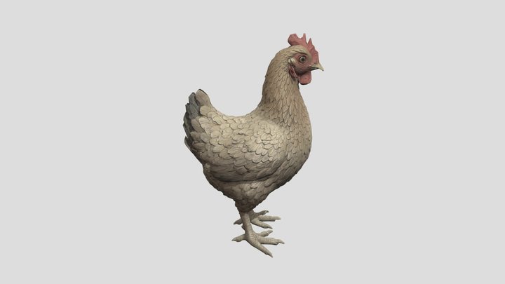Realistic Brown Chicken Hen - Game Ready Asset 3D Model