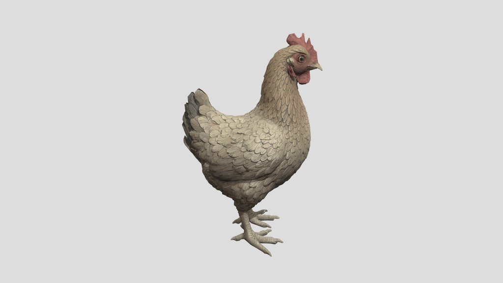 Realistic Brown Chicken Hen - Game Ready Asset