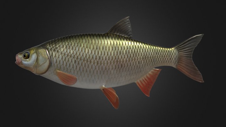 Ide 3D Model