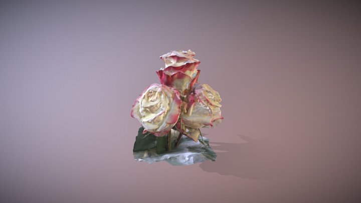 Three Roses 3D Model