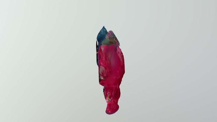 New Qlone 3D Model
