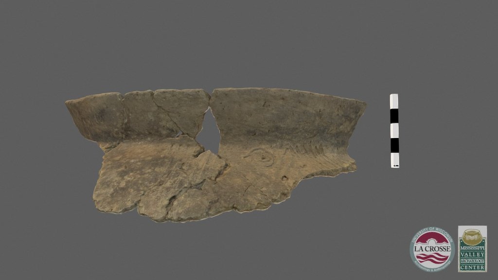Perrot Punctate v Inner Lip