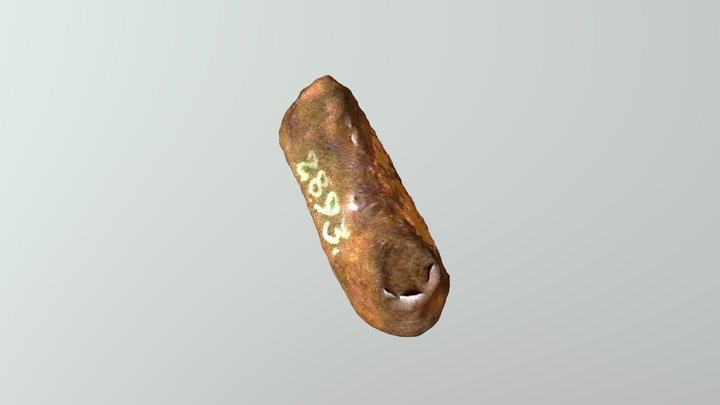 Silbato Depósito 25 3D Model
