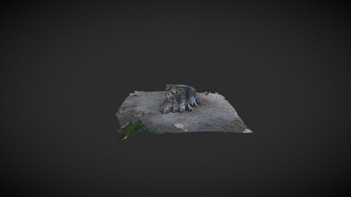 Double Tree Stump 3D Model