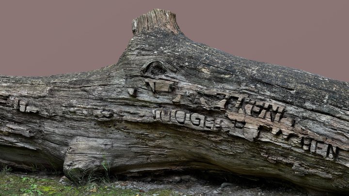 Wooden Forest Log 3D Model